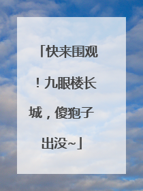 快来围观！九眼楼长城，傻狍子出没~
