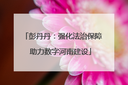 彭丹丹：强化法治保障 助力数字河南建设