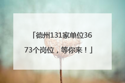 德州131家单位3673个岗位，等你来！
