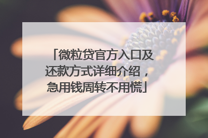 微粒贷官方入口及还款方式详细介绍，急用钱周转不用慌