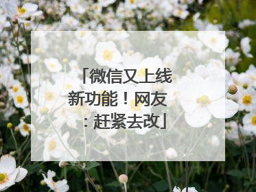 微信又上线新功能！网友：赶紧去改