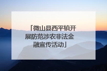 微山县西平镇开展防范涉农非法金融宣传活动