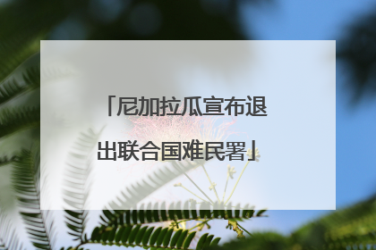尼加拉瓜宣布退出联合国难民署