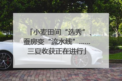 小麦田间“选秀”、蚕房变“流水线”……三夏收获正在进行