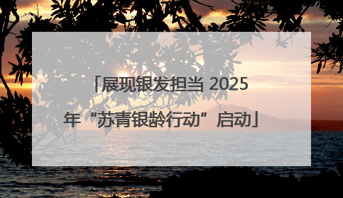 展现银发担当 2025年“苏青银龄行动”启动