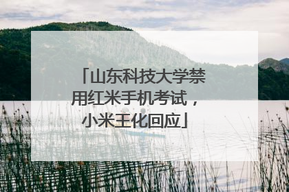 山东科技大学禁用红米手机考试，小米王化回应