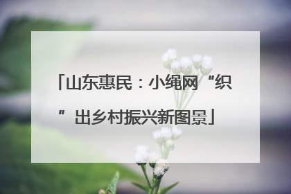 山东惠民：小绳网“织”出乡村振兴新图景