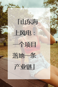 山东海上风电：一个项目落地一条产业链