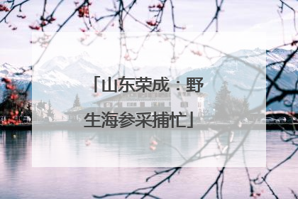 山东荣成：野生海参采捕忙
