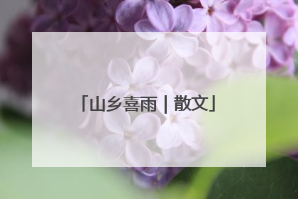 山乡喜雨｜散文