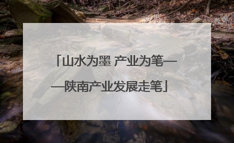 山水为墨 产业为笔——陕南产业发展走笔