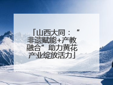 山西大同：“非遗赋能+产教融合”助力黄花产业绽放活力