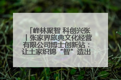 峰林聚智 科创兴张丨张家界旅典文化经营有限公司博士创新站：让土家织锦“智”造出非遗新传奇