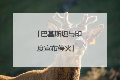 巴基斯坦与印度宣布停火