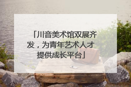 川音美术馆双展齐发，为青年艺术人才提供成长平台