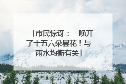 市民惊讶：一晚开了十五六朵昙花！与雨水均衡有关