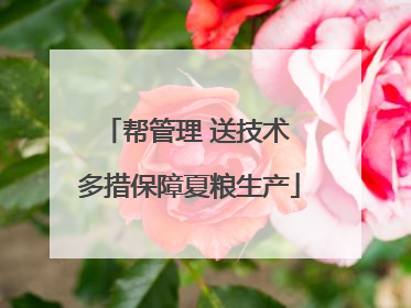 帮管理 送技术 多措保障夏粮生产