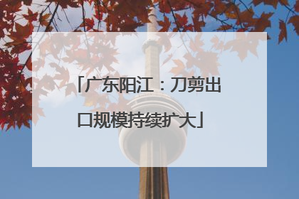 广东阳江：刀剪出口规模持续扩大