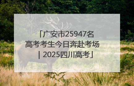 广安市25947名高考考生今日奔赴考场｜2025四川高考