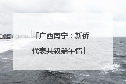 广西南宁：新侨代表共叙端午情