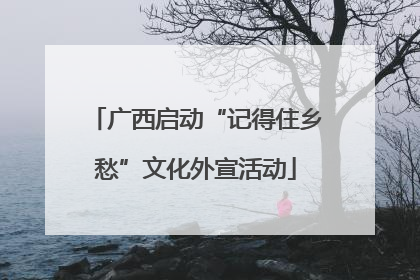 广西启动“记得住乡愁”文化外宣活动