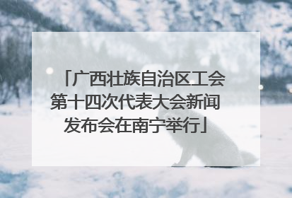 广西壮族自治区工会第十四次代表大会新闻发布会在南宁举行