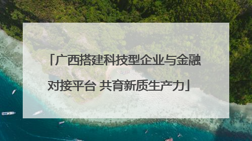 广西搭建科技型企业与金融对接平台 共育新质生产力
