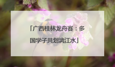 广西桂林龙舟赛：多国学子共划漓江水