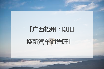 广西梧州：以旧换新汽车销售旺