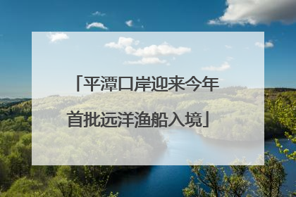 平潭口岸迎来今年首批远洋渔船入境