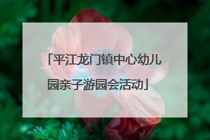 平江龙门镇中心幼儿园亲子游园会活动