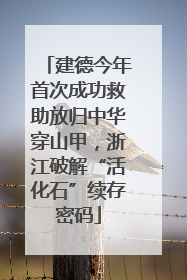 建德今年首次成功救助放归中华穿山甲，浙江破解“活化石”续存密码