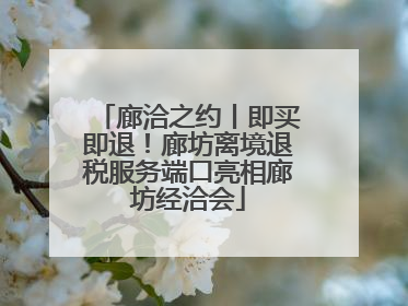 廊洽之约丨即买即退！廊坊离境退税服务端口亮相廊坊经洽会