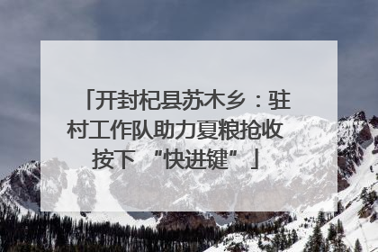 开封杞县苏木乡：驻村工作队助力夏粮抢收按下 “快进键”