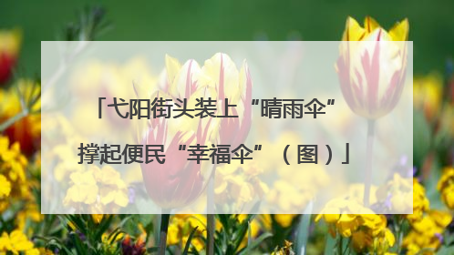 弋阳街头装上“晴雨伞” 撑起便民“幸福伞”（图）