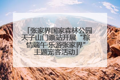张家界国家森林公园天子山门票站开展“粽情端午·乐游张家界”主题宠客活动