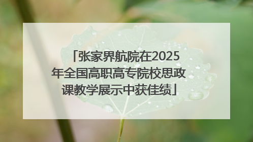 张家界航院在2025年全国高职高专院校思政课教学展示中获佳绩
