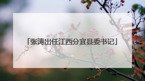 张涛出任江西分宜县委书记