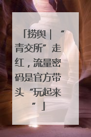 捞舆｜“青交所”走红，流量密码是官方带头“玩起来”