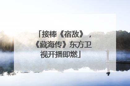 接棒《宿敌》，《藏海传》东方卫视开播即燃
