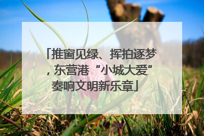 推窗见绿、挥拍逐梦，东营港“小城大爱”奏响文明新乐章