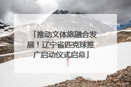 推动文体旅融合发展！辽宁省匹克球推广启动仪式启幕