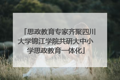 思政教育专家齐聚四川大学锦江学院共研大中小学思政教育一体化