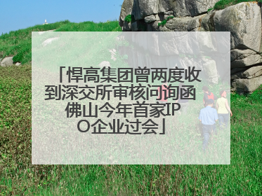 悍高集团曾两度收到深交所审核问询函 佛山今年首家IPO企业过会