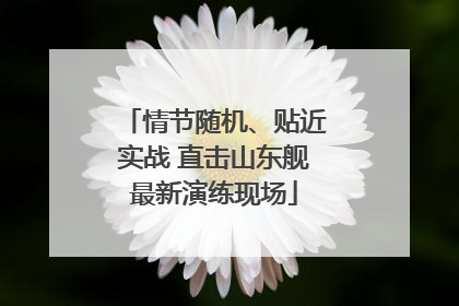 情节随机、贴近实战 直击山东舰最新演练现场