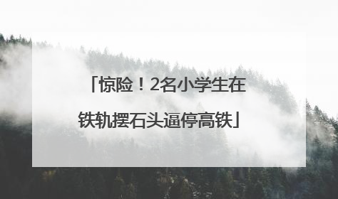 惊险！2名小学生在铁轨摆石头逼停高铁