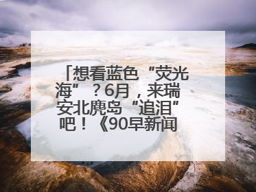 想看蓝色“荧光海”？6月，来瑞安北麂岛“追泪”吧！《90早新闻》来了