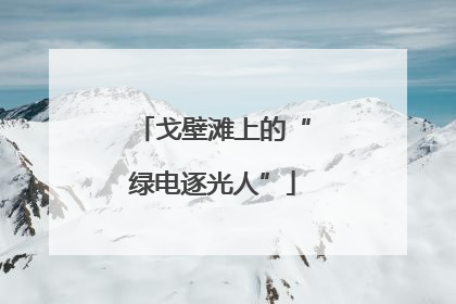 戈壁滩上的“绿电逐光人”