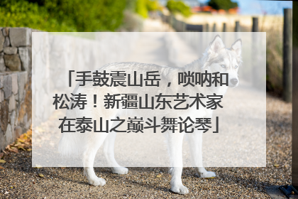 手鼓震山岳，唢呐和松涛！新疆山东艺术家在泰山之巅斗舞论琴