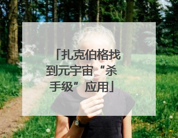 扎克伯格找到元宇宙“杀手级”应用